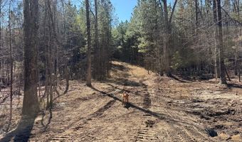 MOUNTAIN CUT RD lot D, Appomattox, VA 24522