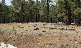 114 San Juan Dr, Angel Fire, NM 87710