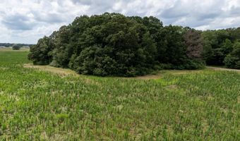 30 Acres Oneal Rd, Athens, AL 35614