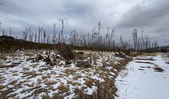 2025 Granite Rd, Bellvue, CO 80512