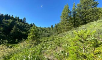 400 GROVER DRY FARM Rd, Afton, WY 83110