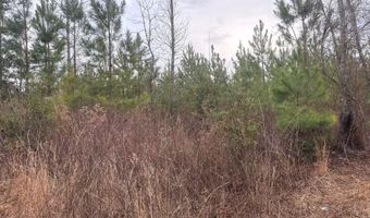 Qbf 12 Nurnberg Dr Road Qbf 12, Batesburg Leesville, SC 29070
