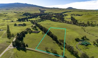 67-1009 KEAMUKU Rd, Kamuela, HI 96743