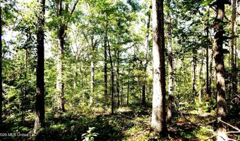 330 County Road 245, Abbeville, MS 38601