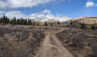 0 Snow Cap Peaks Rd, Alma, CO 80402