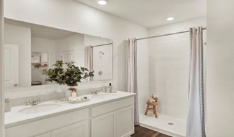 5226 Scrub Mint Ln, Apopka, FL 32712