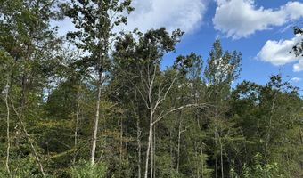 08 Adams Rd, Bankston, AL 35542