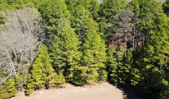415229 N Hall Rd, Antlers, OK 74523