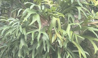 50 Pauwela Rd A, Haiku, HI 96708