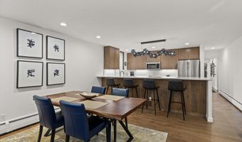 926 Waters Ave 301, Aspen, CO 81611