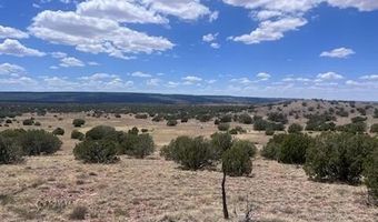 41 Indian Drive CR 8062, Concho, AZ 85924