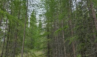 Nna WESTSIDE RD PARCEL 12, Bonners Ferry, ID 83805