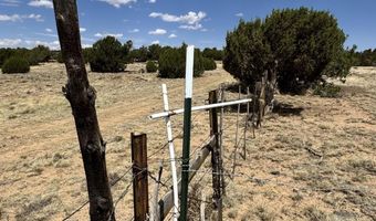 17 COUNTY ROAD N8034 185, Concho, AZ 85924