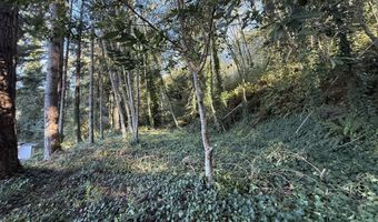 97923 PAYNE Rd, Brookings, OR 97415