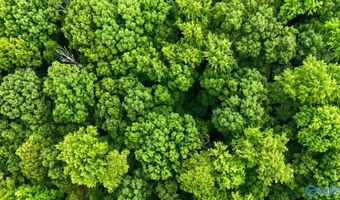 58 Acres Naples Ln, Arab, AL 35016