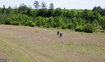 County Road 231, Abbeville, AL 36310
