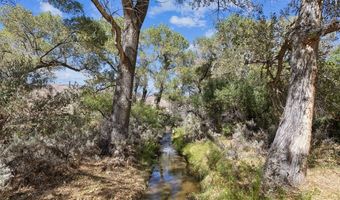 806 Camp Station Dr Plan: The Highland, Dayton, NV 89403