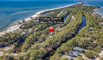 27 Harry Morrison Rd, Alligator Point, FL 32346
