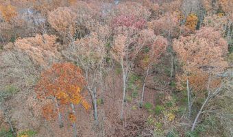 44 Mombert Dr, Ballwin, MO 63021