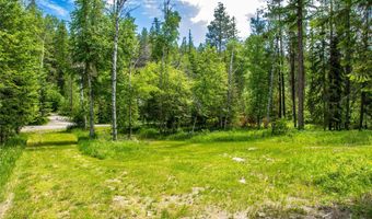 695 Latigo Ln, Bigfork, MT 59911