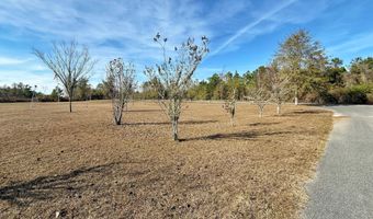 21382 NW Paradise Ln, Altha, FL 32421