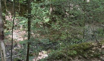 643 Pine Grove Rd, Beattyville, KY 41311
