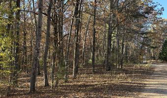 33 Eagle Rdg, Ball Ground, GA 30107