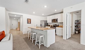 17562 NW 172ND Ave, Alachua, FL 32615