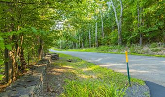 596 Joseph Chadderdon Rd, Acra, NY 12405