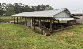29768 Indian Springs Lp, Andalusia, AL 36421