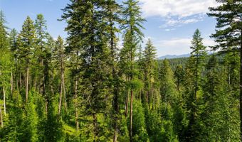 401 Saddlehorn Trl, Bigfork, MT 59911