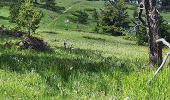 Blacktooth Road lot 12, Big Horn, WY 82833