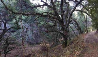 Lark Ln, Alamo, CA 94507