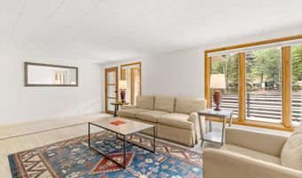 1501 Maroon Creek Rd #2, Aspen, CO 81611