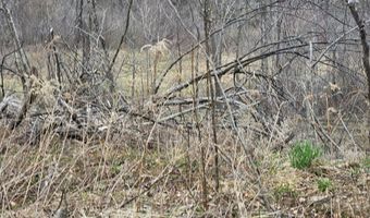 295 Shellstone Rd, Amsterdam, NY 12010