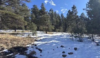 Lot 19 Buckskin Rd, Angel Fire, NM 87710