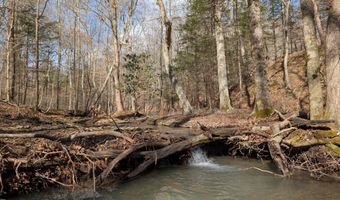 9999 Tip Top Rd, Beattyville, KY 41311
