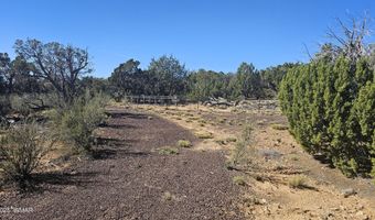 4 County Rd, Concho, AZ 85924