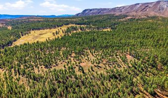N2147, Alpine, AZ 85920