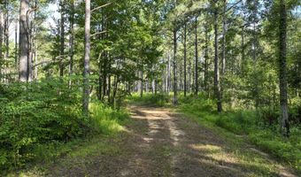 0 Hwy 14, Aliceville, AL 35442