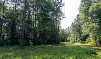 10 AC +/- Gravel Pit Lake Rd, Beaumont, MS 39423