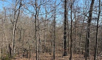 11111 Hwy 62/412, Ash Flat, AR 72513
