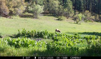 15098 CR 240, Bayfield, CO 81122