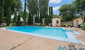 1212 Landsun Dr, Carlsbad, NM 88220