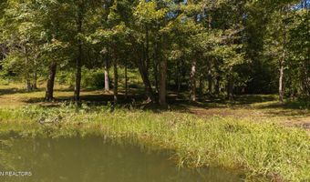 997 Miller Hollow Rd, Bean Station, TN 37708