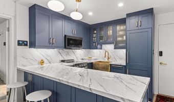 332 VINE St, Aspen, CO 81611