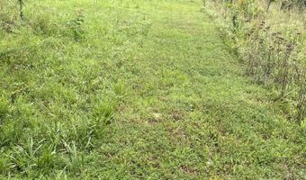 County Road P-305, Ava, MO 65608