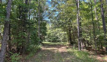 Pleasant Hill Road, Ashland, MS 38603
