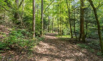 23 59 Ac Chestnut Flats Rd, Andrews, NC 28901