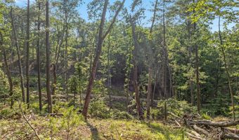417 MALLARD Dr, Basye, VA 22810